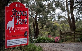 Avoca Park Equestrian Farmstay